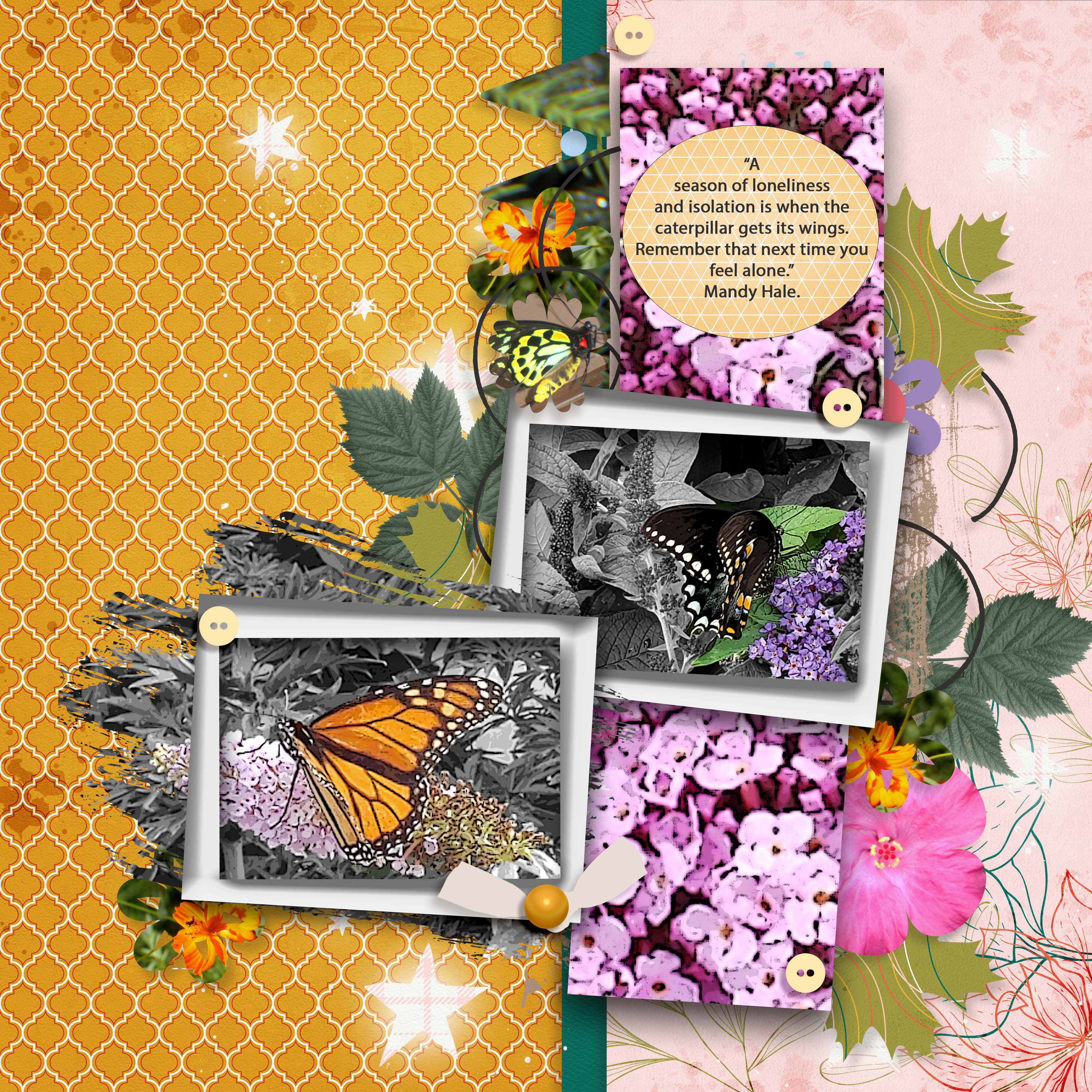 Studio K Butterflies and Life On The Cards Template 1.jpg