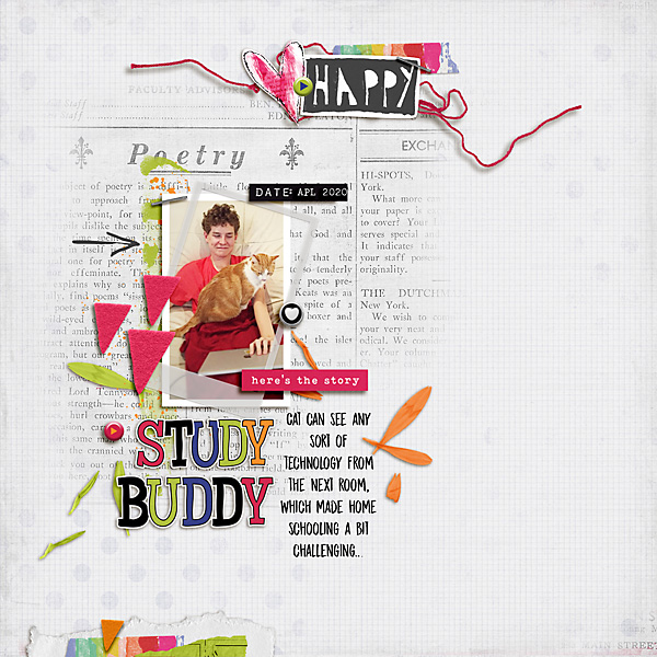 Study-buddy