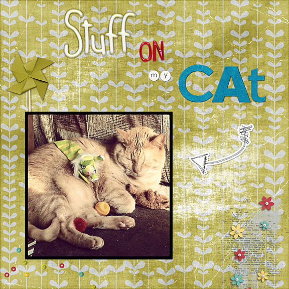 Stuff on my Cat