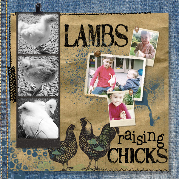 Style Challenge_05-20_PhotoBooth_chickens