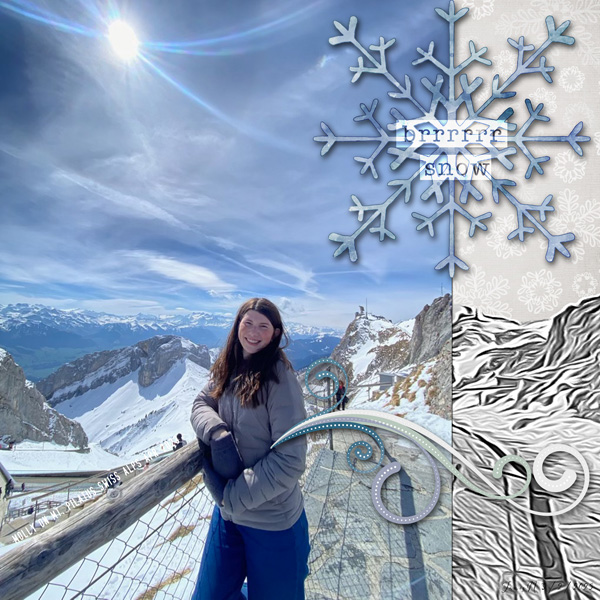 Style_brrrrsnow