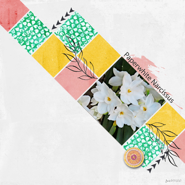 Style_Linear-PaperwhiteNarcissus