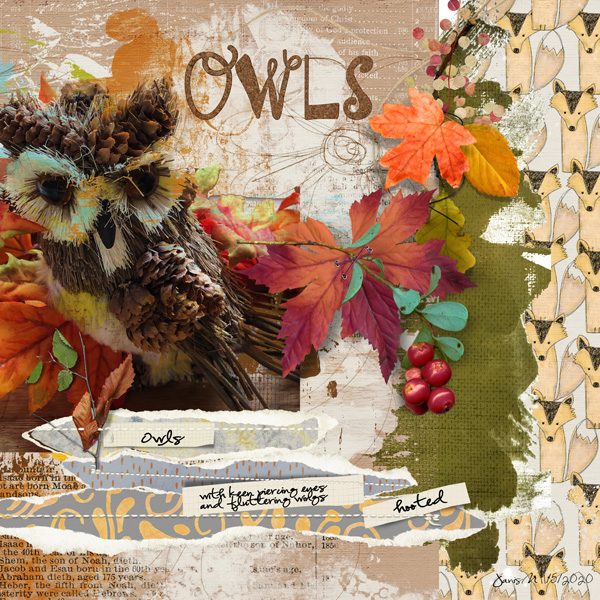 Style_owl