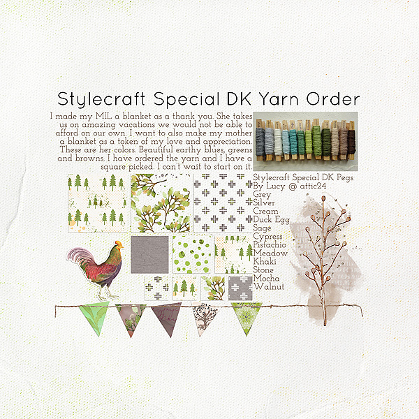 Stylecraft Pegs