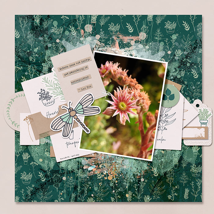 SUCCULENT FLOWER - FLOURISH