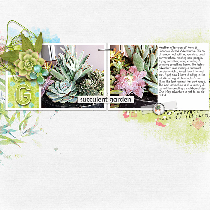 Succulent Garden