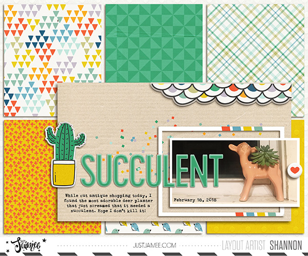 Succulent