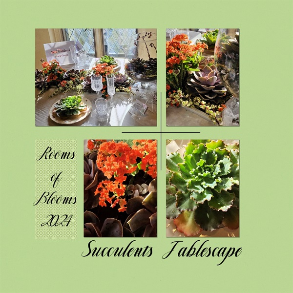 Succulents Tablescape