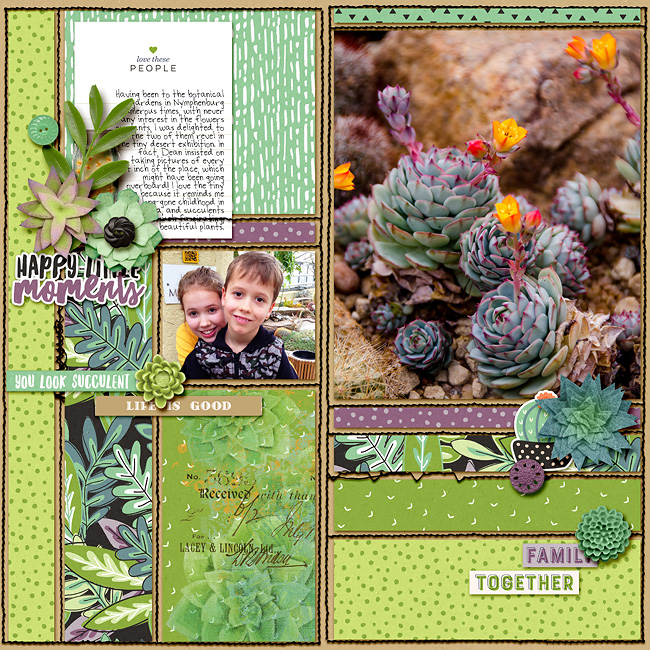 succulents
