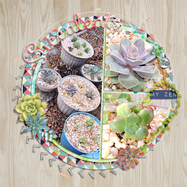 Succulents