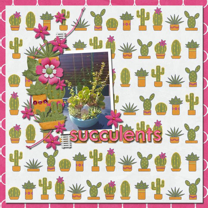 Succulents