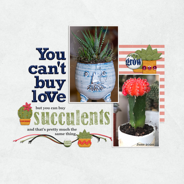 Succulents