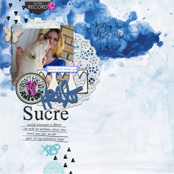 Sucre