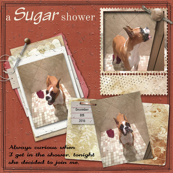 Sugar-shower
