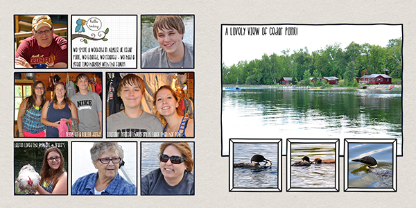 Summer Album - Cedar Point