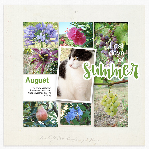 Summer August 2020