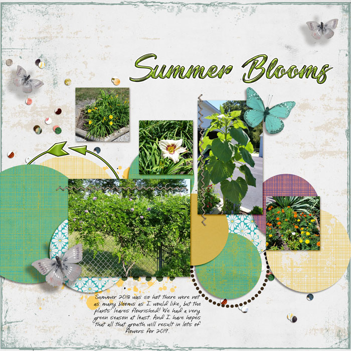 Summer-bloom