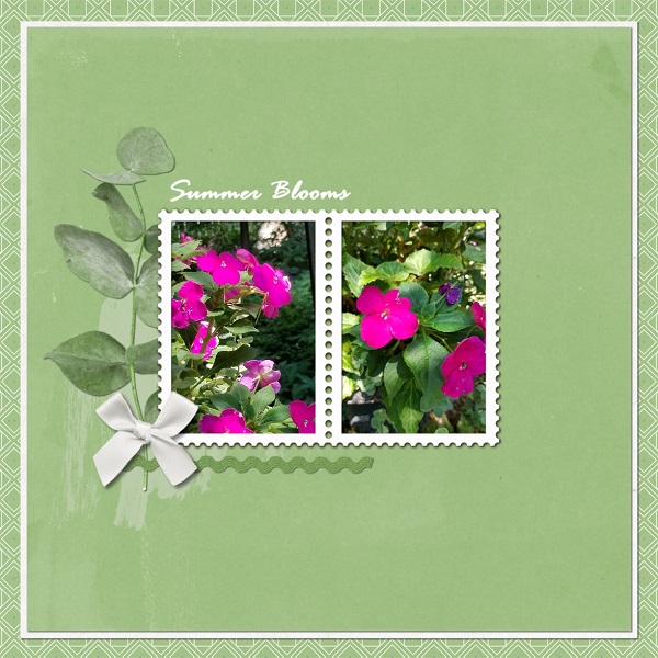Summer Blooms