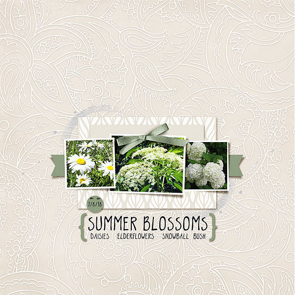 Summer Blossoms