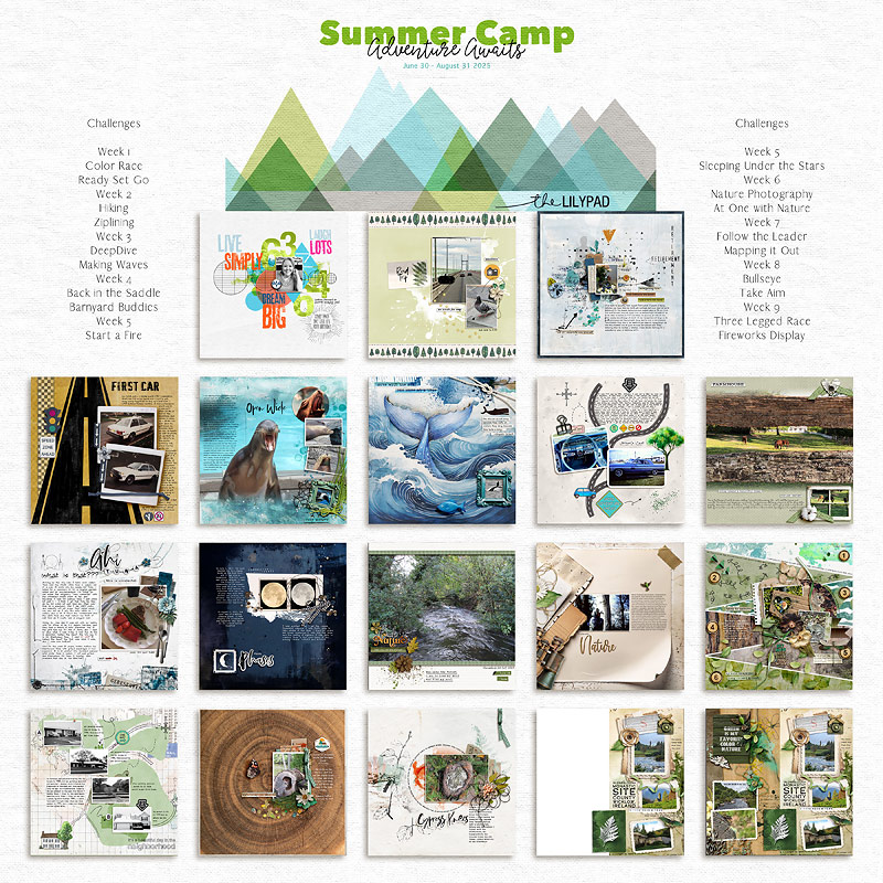 Summer Camp 2025