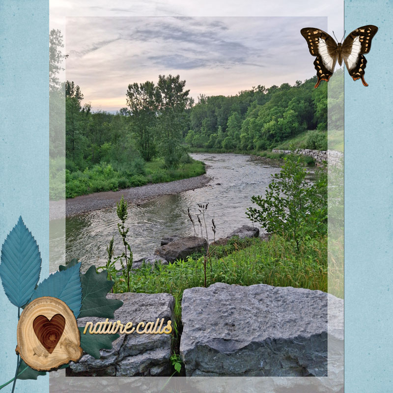 Summer-Camp-Week-6-Nature-Photography