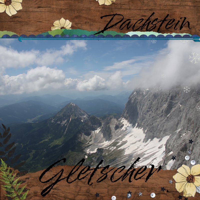 Summer Camp Week 6 Nature Photography