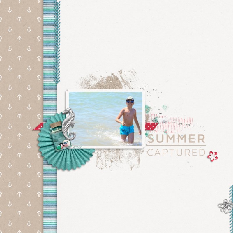 Summer Captured