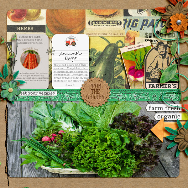 summer CSA