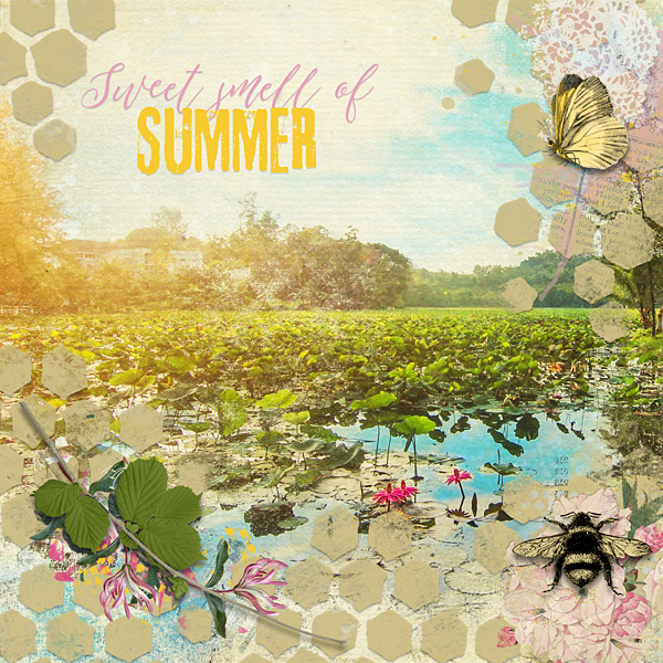 Summer Days