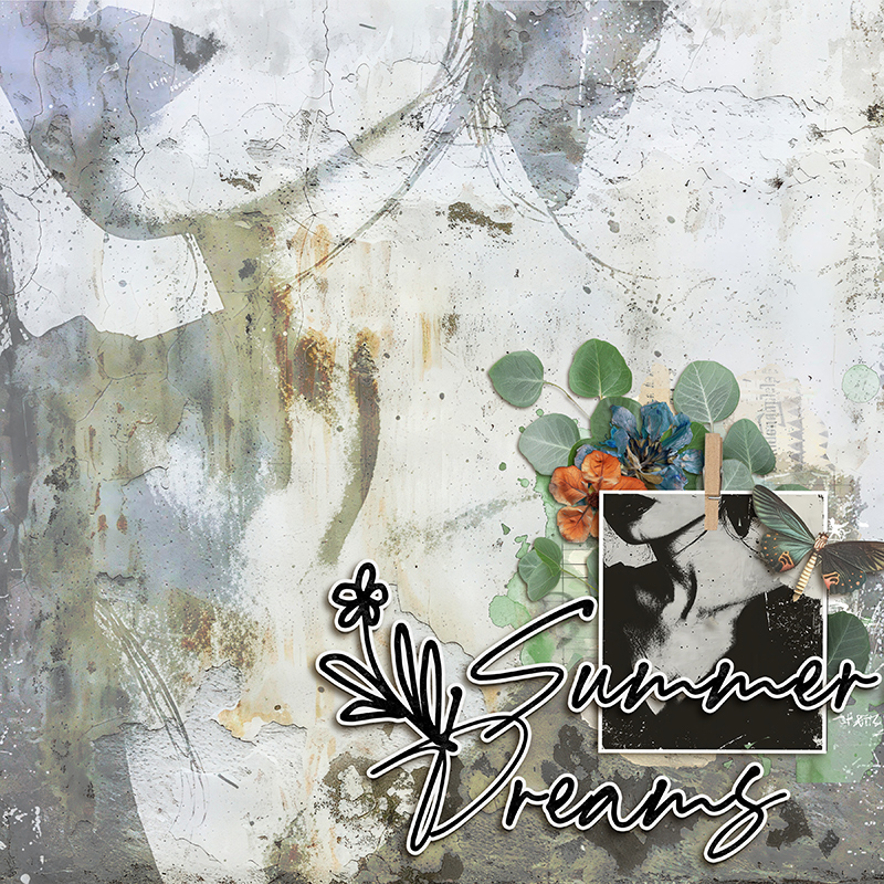 Summer-dreams