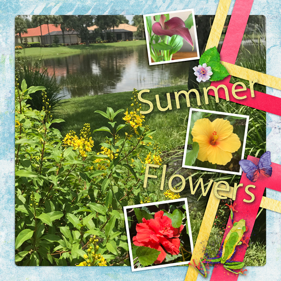 Summer Flowers July Photography Challenge