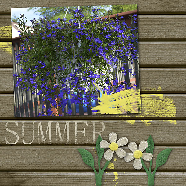 Summer Flowers