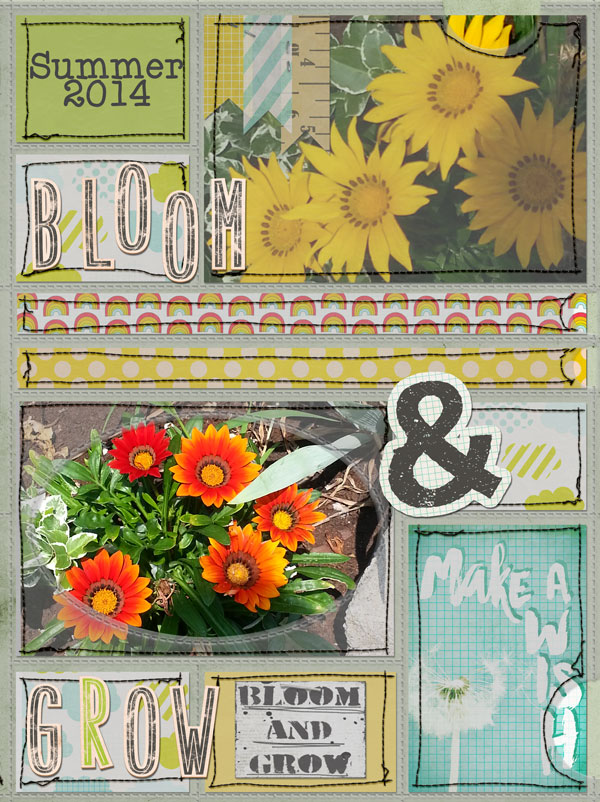 Summer Flowers