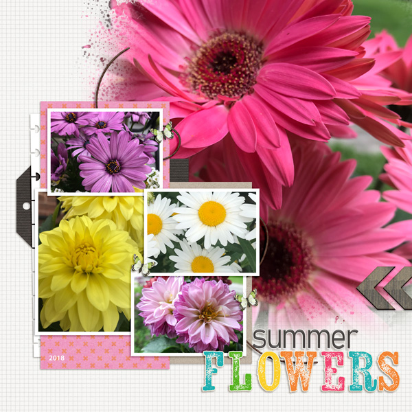 Summer Flowers