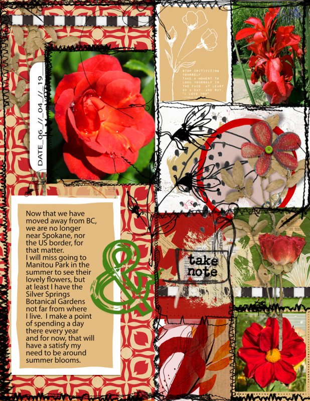 Summer Flowers