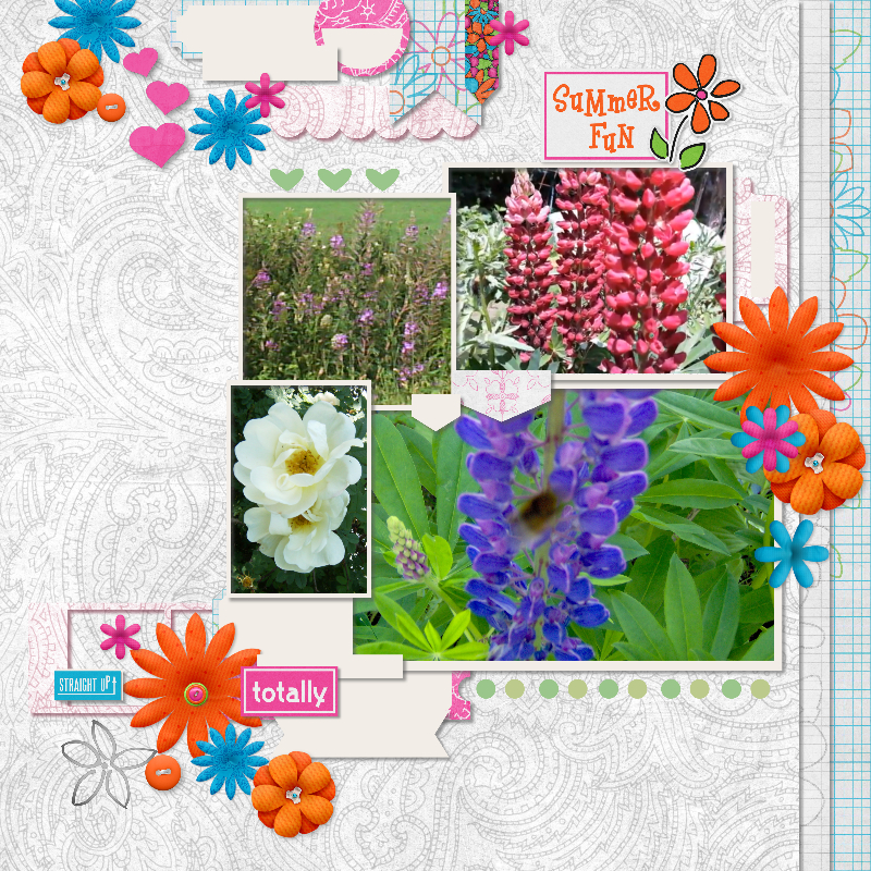 Summer Flowers
