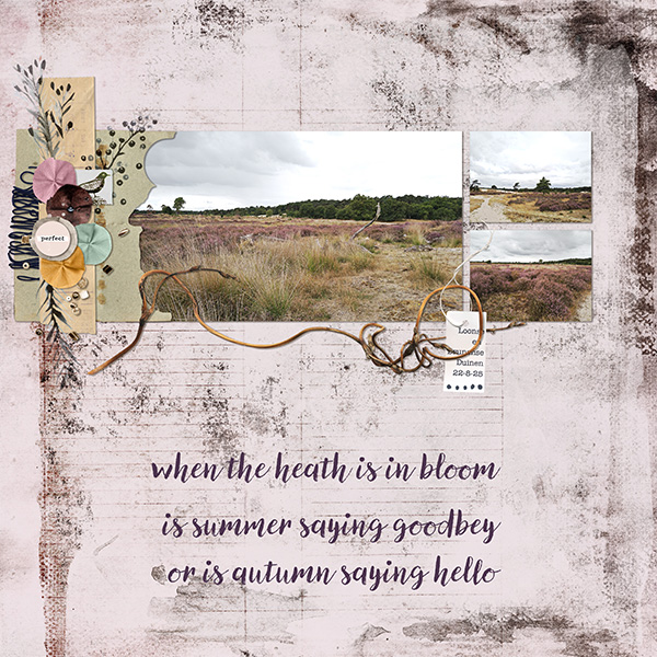 Summer Going On Autumn