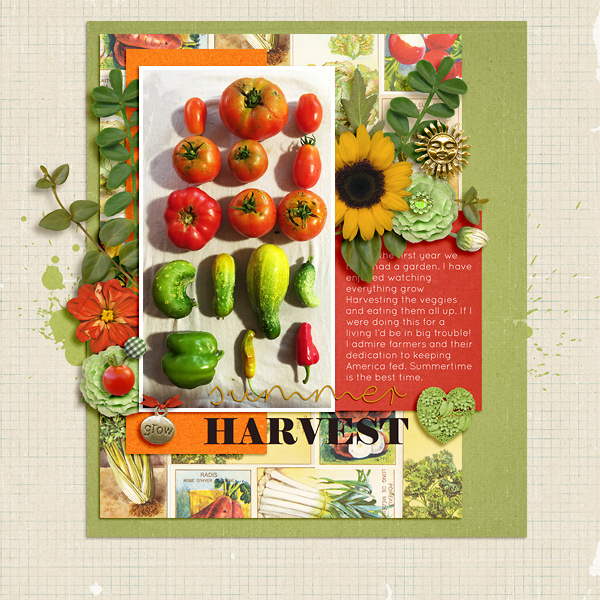 Summer Harvest