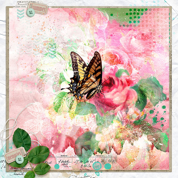 SUMMER-MEMORIES-AJ