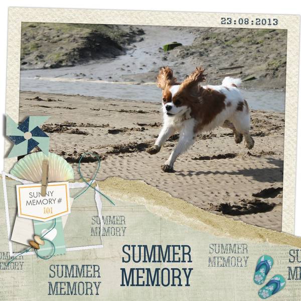 Summer memory