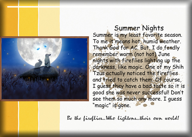 Summer-Nights