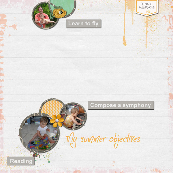 Summer objectives