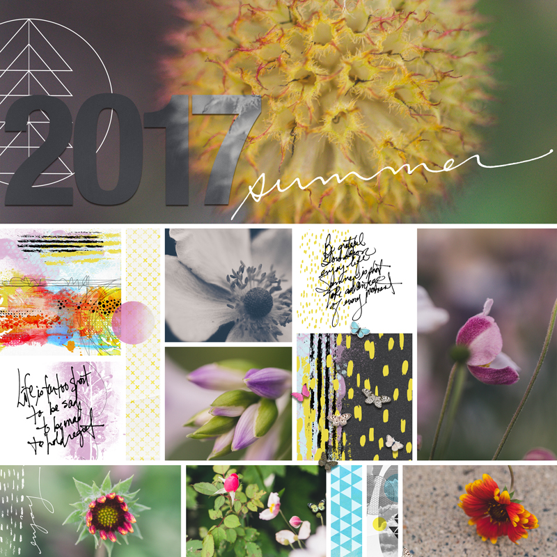 Summer-Photos