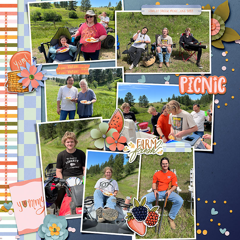Summer-picnic