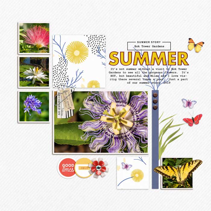 Summer Story