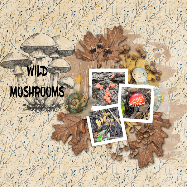 SummerCamp_Week6_Challenge_atonewithnature_janisn