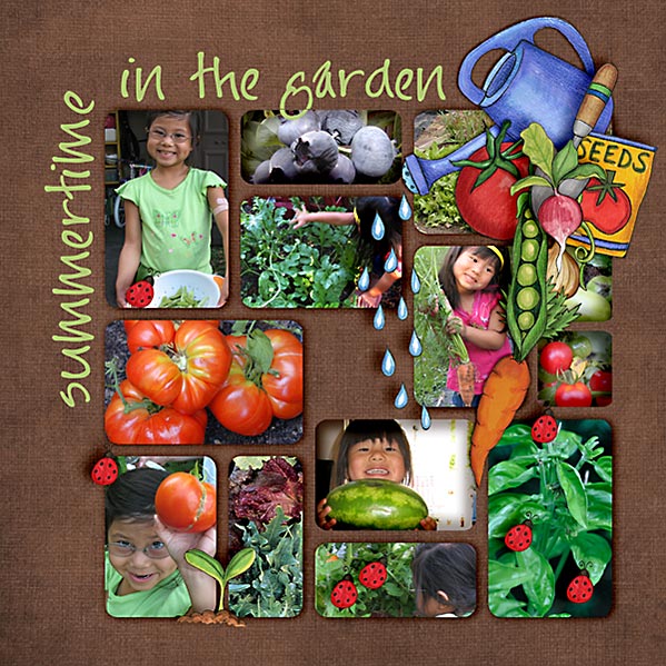 Summertime in the Garden