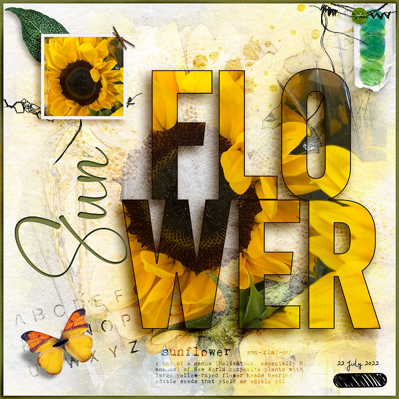 Sun Flower