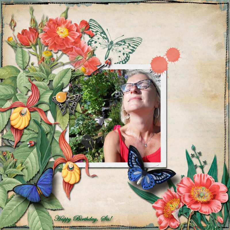 Sun & the Garden
