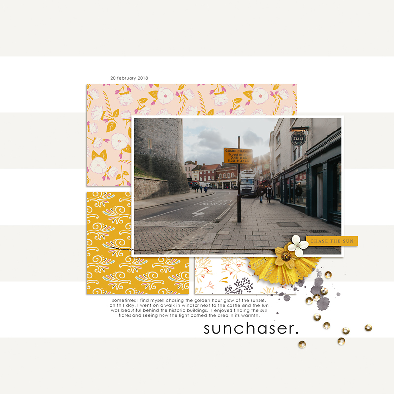 sunchaser.
